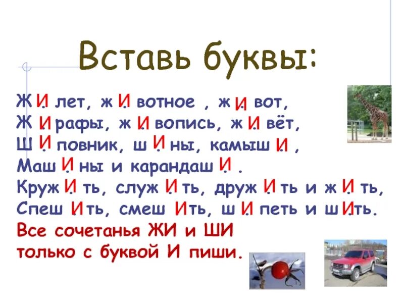 Ча чу закрепление