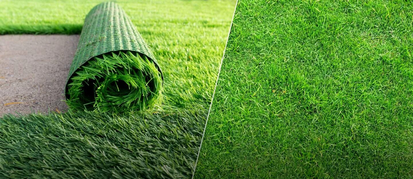 Natural v. Artificial grass. Natura grass. Artificial natural. Nature vs Trush.