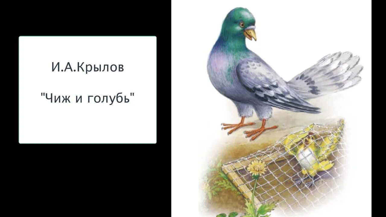 Иллюстрация к басне Крылова Чиж и голубь. Басни Ивана Андреевича Крылова Чиж и голубь. Басня крылова чижа захлопнула злодейка западня бедняжка