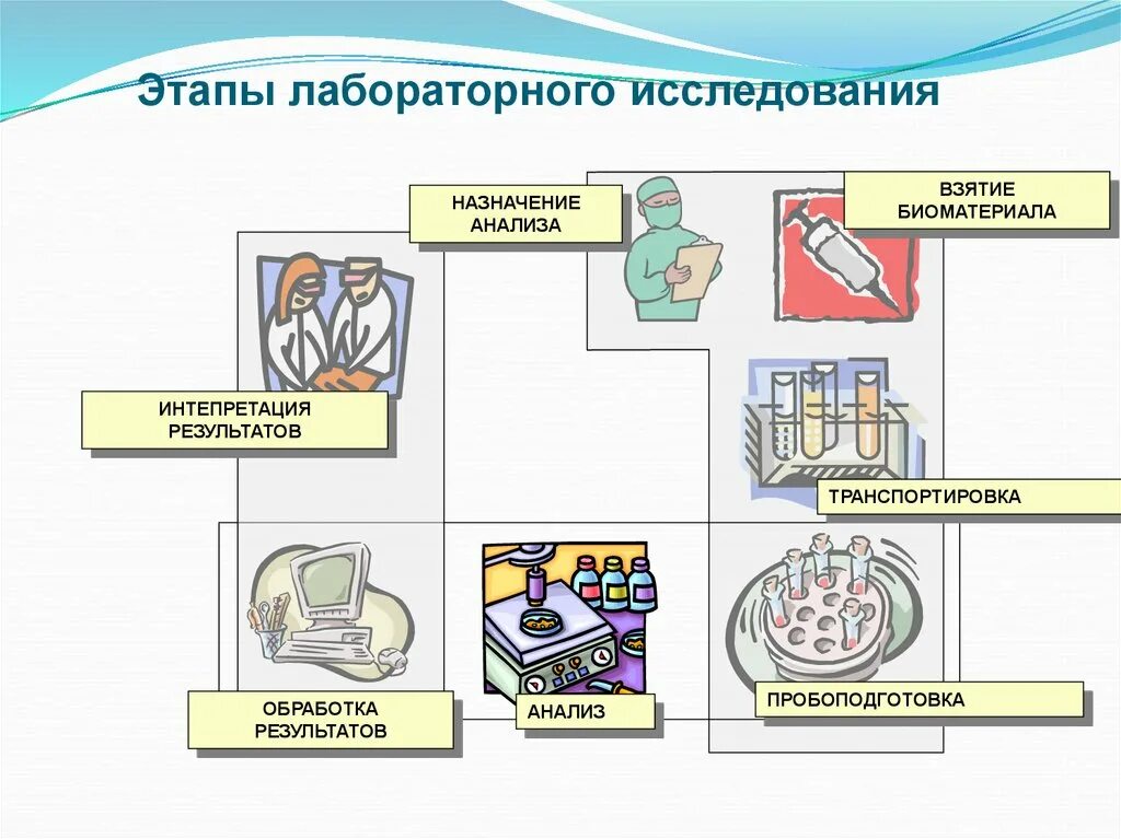 Этапы лабораторного анализа. Преаналитический этап лабораторных исследований. Аналитический этап лабораторных исследований. Анализ ошибок. Основные этапы выполнения лабораторных исследований.