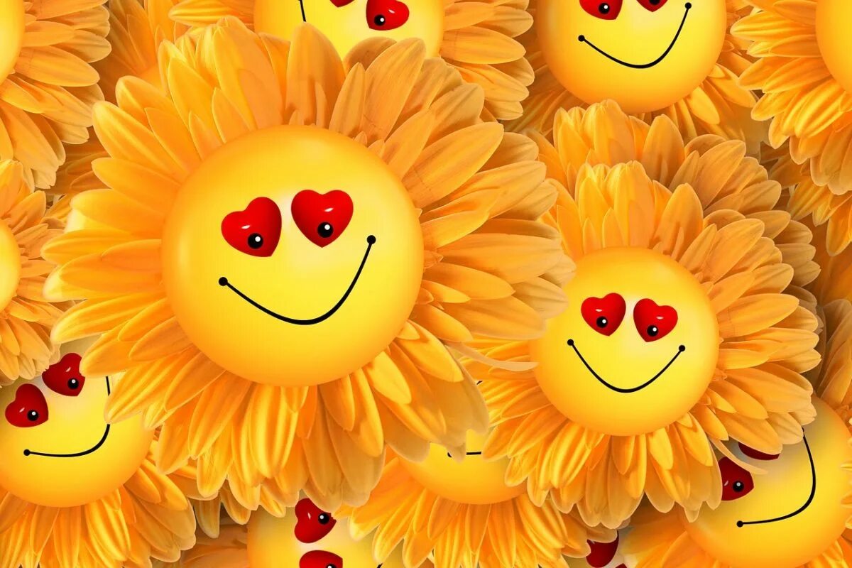 Угадай цветок яндекс игра. Дети солнца. « хорошее настроение и доброта». Солнышко картинка. Побольше солнца и добра.