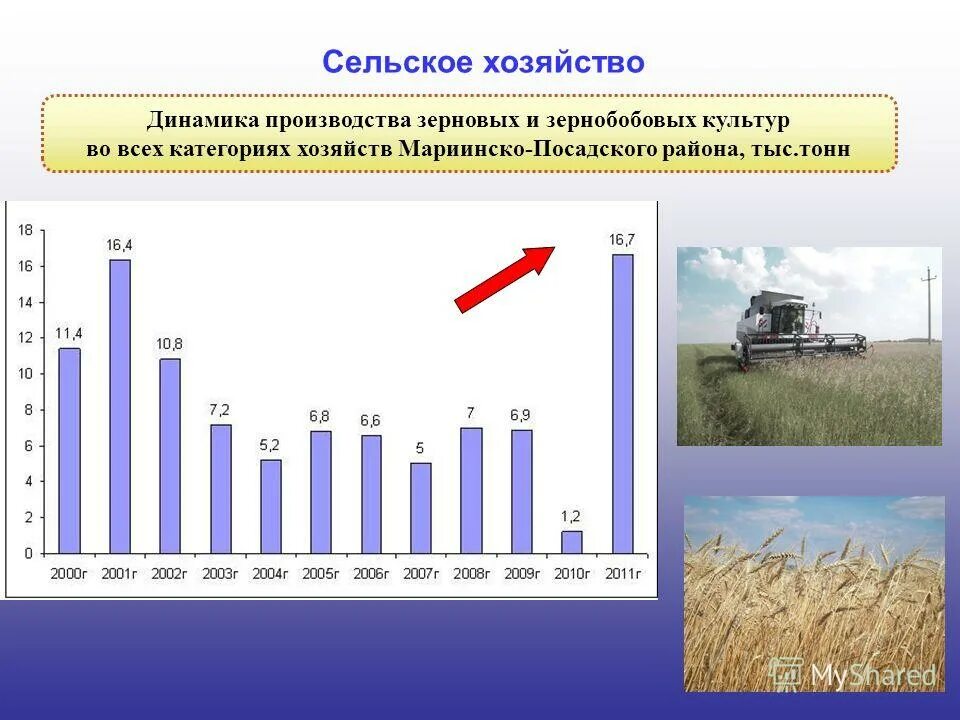 Категории хозяйств. Районы производства зерна. Динамика производства зерна. Зерновое производство география размещения. Проблемы зернового хозяйства.