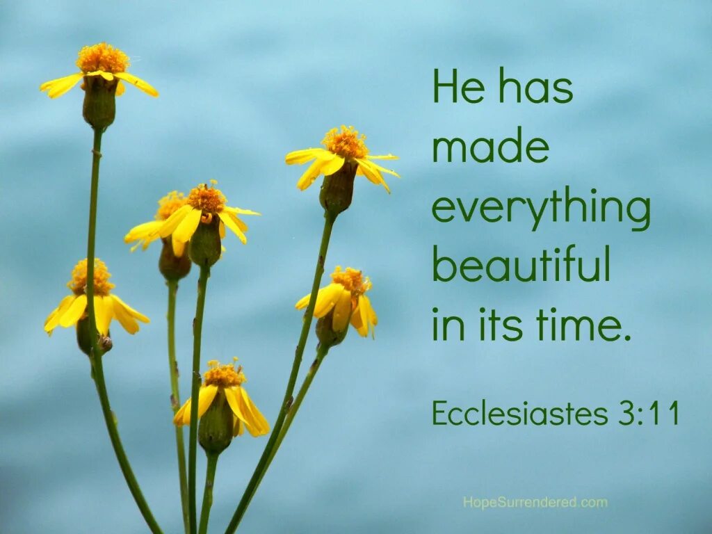 Everything is the same. Ecclesiastes. экклезиаст 3:11. everything is beautiful. everything is beautiful in its time.