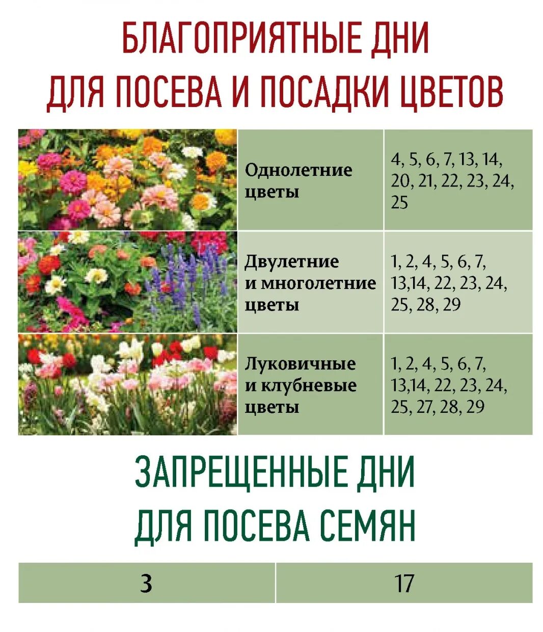 Какой день для пересадки цветов. Удачные даты для посадки цветов. Благоприятные дни для посадки цветов. Благоприятные дни для посадки однолетних цветов. ,Kfujghbznyst LYB lkz gjcflrb wdtnjd.