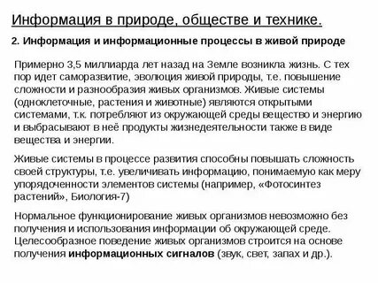 Реферат общество и природа