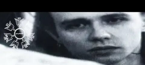 Дельфин дверь слушать
