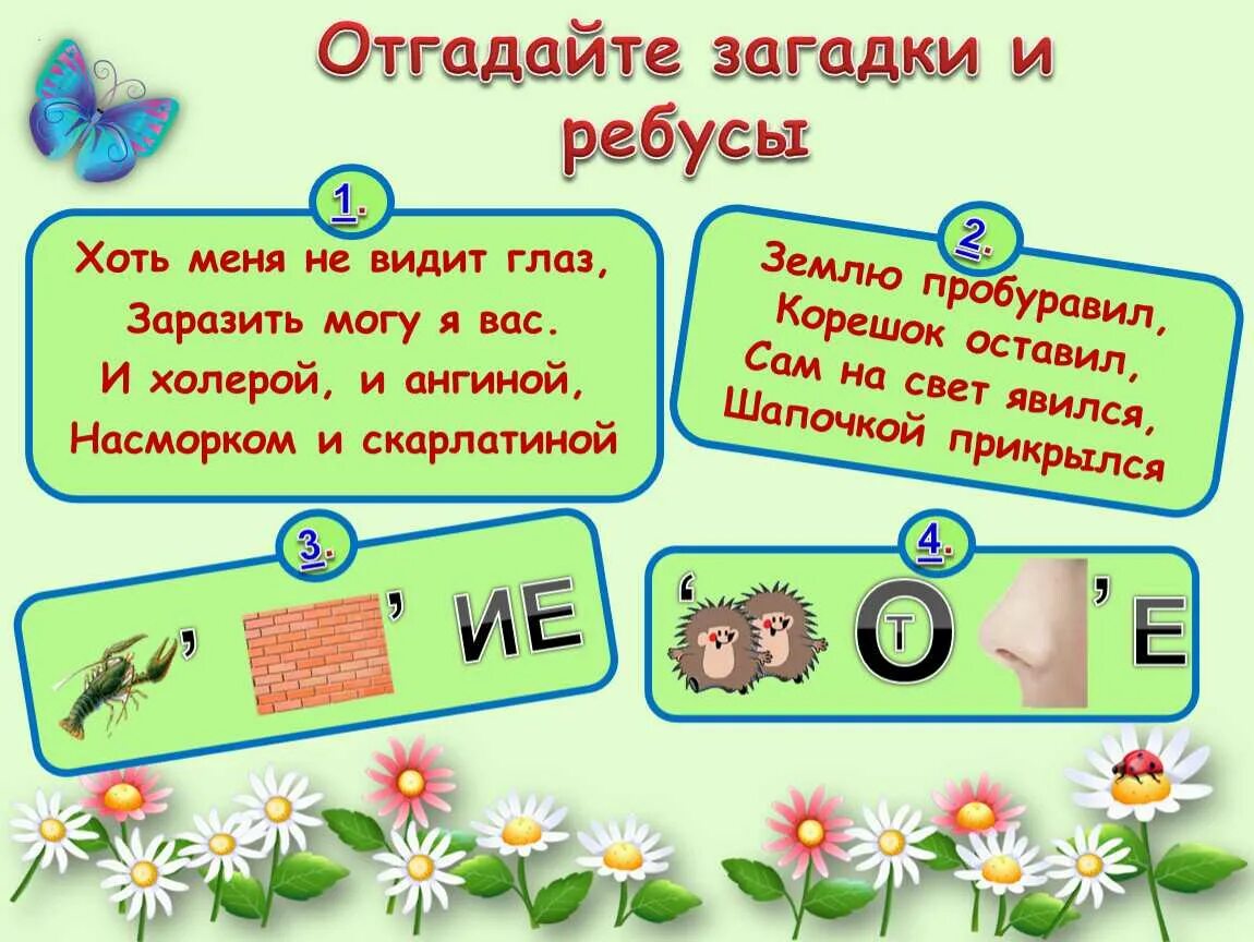 Отгадайте слово 2 класс. Загадки. Загадки по биологии. Ребусы и головоломки. Ребусы загадки.