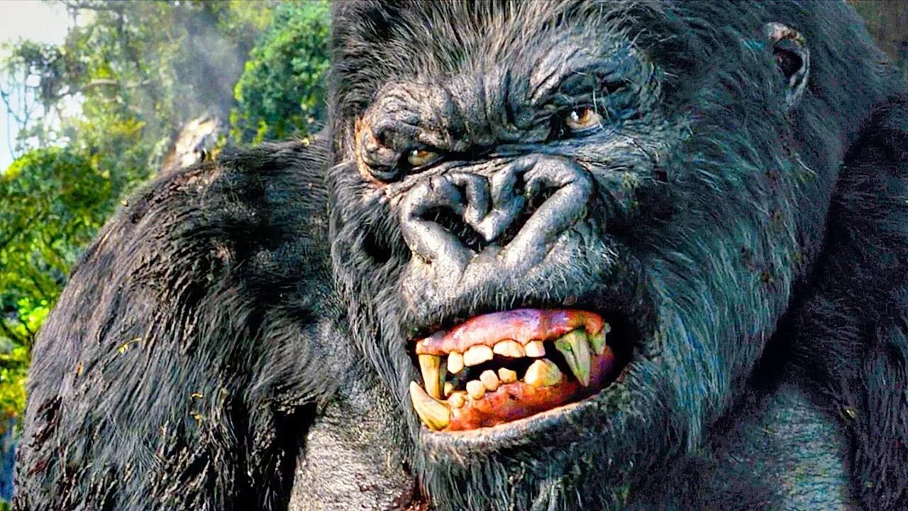 Kong full movie. Кинг Конг. Кинг Конг 2005. Кинг Конг 2006. Конг Кинг Конг.