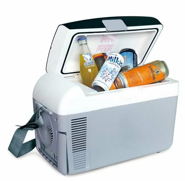 Холодильник 10 л. Cooler Warmer l-10. Переносной холодильник. Переносной холодильник для бутылок. Вертикальный переносной холодильник.