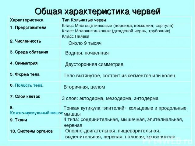 3 признака кольчатых червей. Характеристика кольчатых червей таблица. Общая характеристика малощетинковых червей 7 класс. Общая характеристика кольчатых многощетинковых червей 7 класс. Общая характеристика кольчатых червей 7 класс биология.