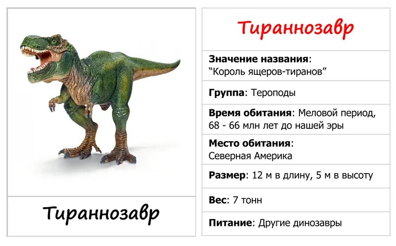 Опиши динозавра. Тираннозавр рекс описание для детей 1. Тираннозавр рекс рост и вес. Тираннозавр рекс информация для детей. Динозавры описание для детей.