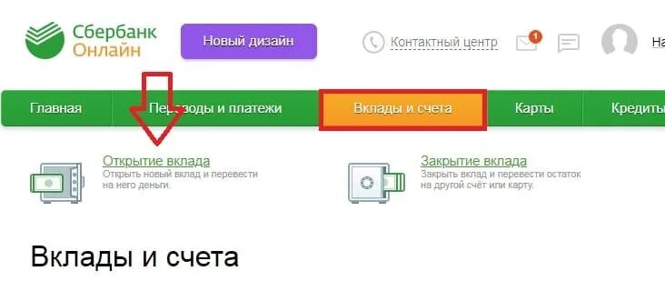 Валютный счет в Сбербанке. Как открыть валютный счет в Сбербанке.