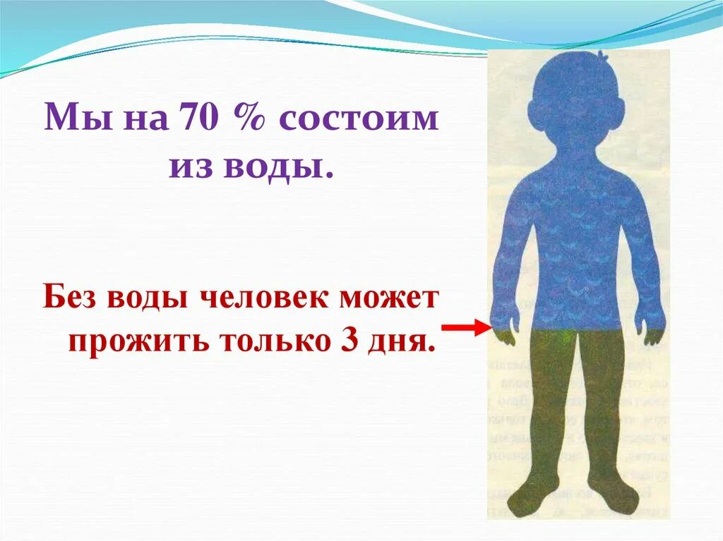 Насколько человек из воды. Человек состоит из воды. Организм человека состоит из водны. Тело человека состоит из воды. На сколько человек состоит из воды.