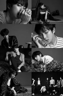 Bts version