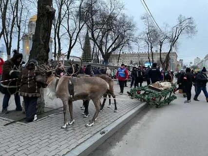Открытие елки в белгороде 2023