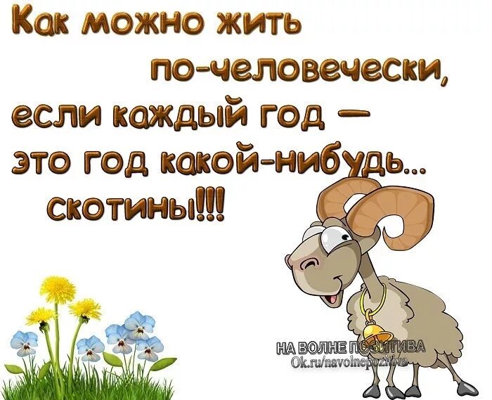 В какой нибудь день. Картинки как жить если каждый год какой нибудь скотины. как можно жить почеловеческт. жить по человечески. картинки как можно жить по человечески.