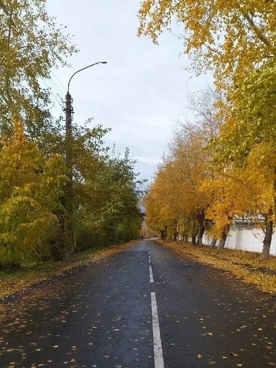 Ветров в архангельске. Дождливый Архангельск. Октябрь дождь. Ветер в октябре Бийск. Мокрый снег.