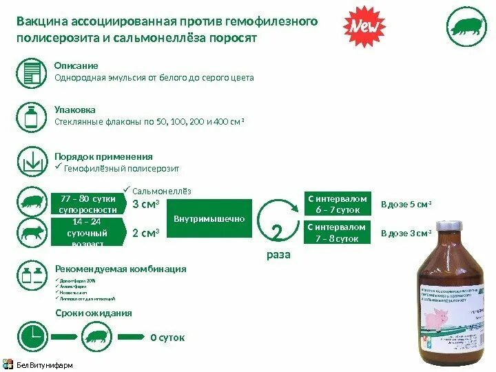 Купить ассоциированную вакцину. Вакцина против сальмонеллеза свиней. Вакцины против гемофилезного полисерозита свиней. Гемофилезный полисерозит. Гемофилезный полисерозит поросят презентация.