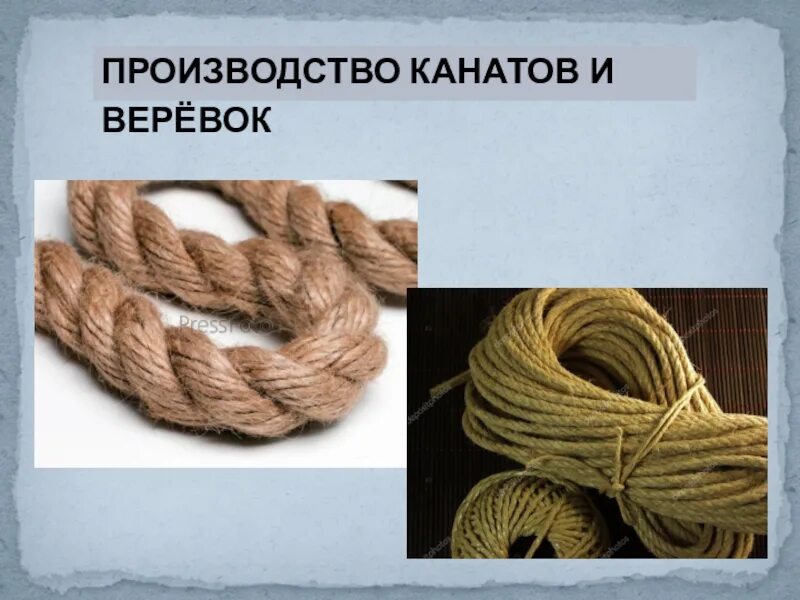 Агава сизаль. Канат сизалевый 8 мм. Пенька. Растение для изготовления канатов. Строение веревки.