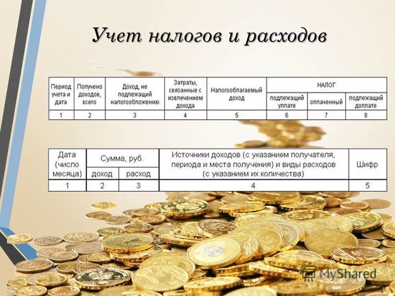 Постановка на учет ифнс. Налогоплательщик имеет право. Порядок представления налоговой отчетности. Налогоплательщики и плательщики сборов. Права налогоплательщика.