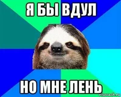 Я бы вдул