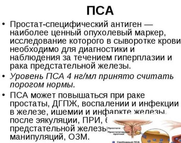 Кровь пса норма для мужчин анализ. Расшифровка анализа пса у мужчин по возрасту норма таблица. Пса анализ Свободный норма для мужчин по возрасту таблица. Анализ крови на пса общий и Свободный что это такое норма у мужчин.