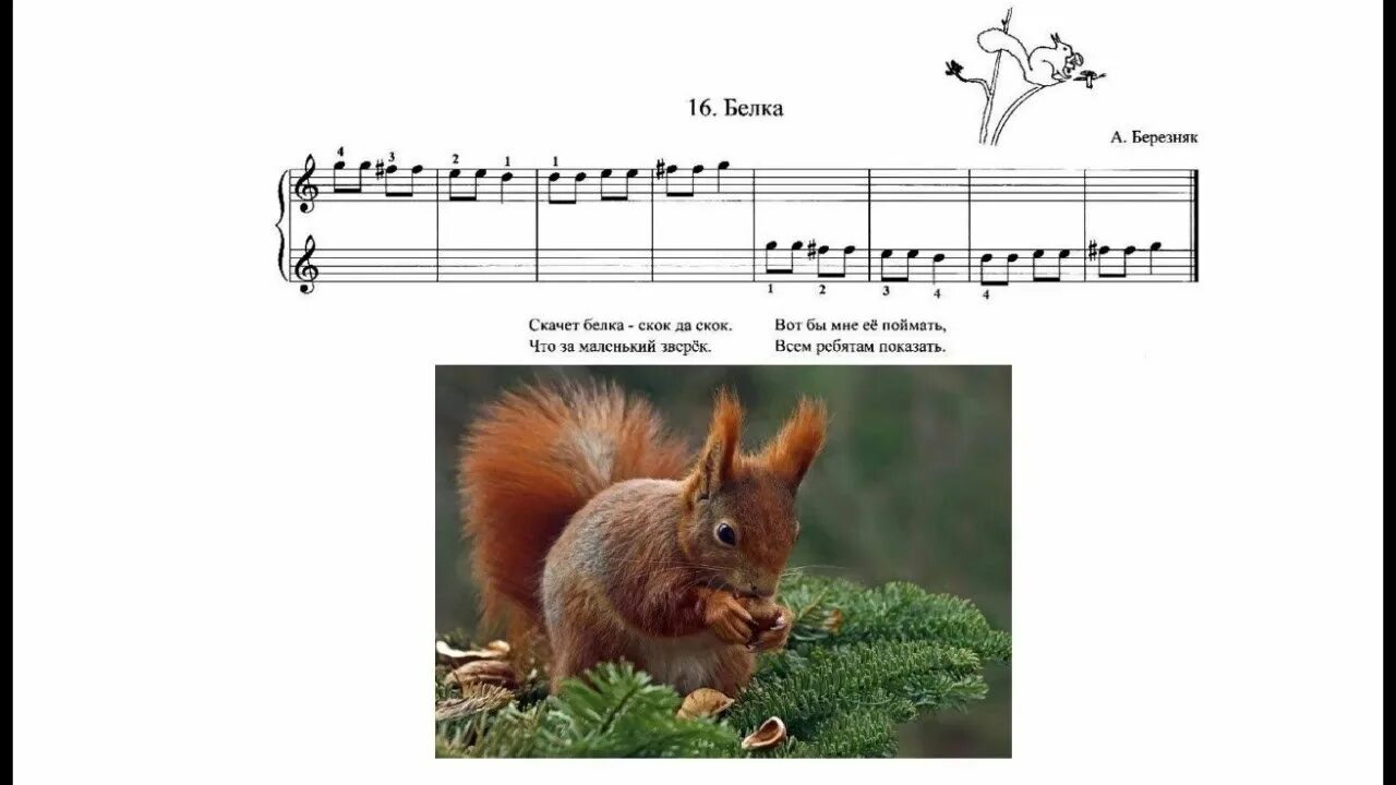 Песня про белка. Белка пианино. Белка Ноты. Белка Ноты для фортепиано. Белочка Ноты.