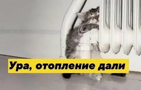Когда дали отопление в 2023