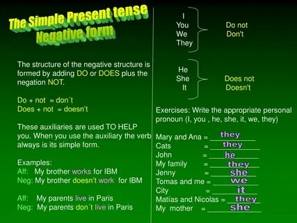 Present simple negative examples