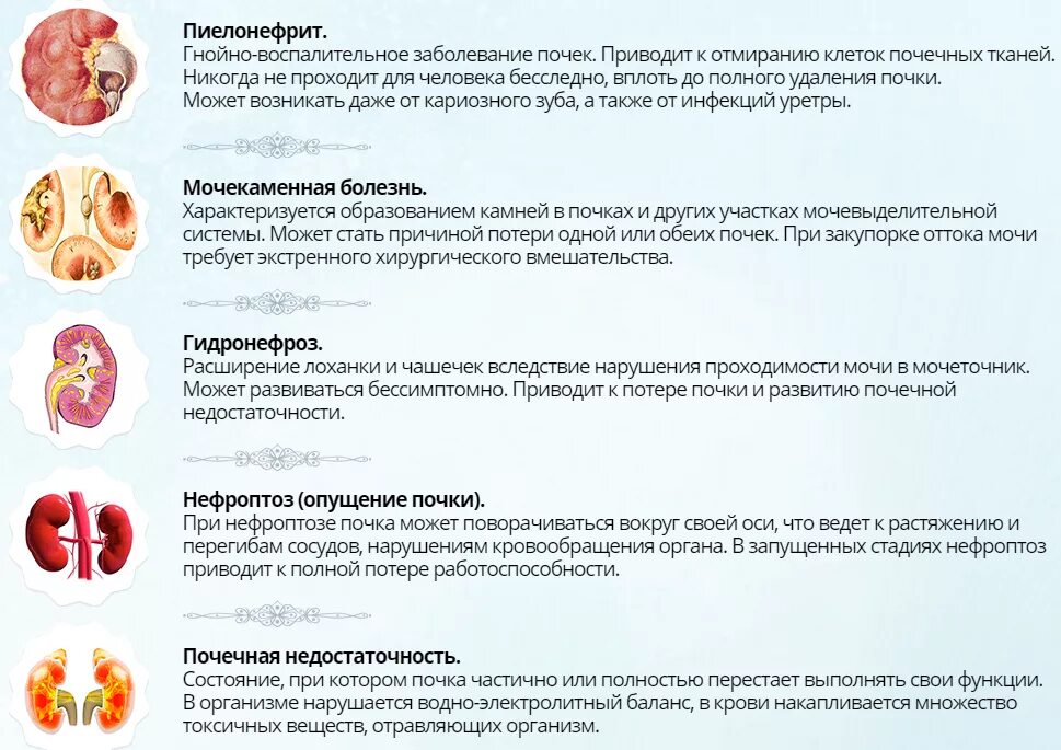 Признаки пиелонефрита почек. Воспалительные заболевания почек. Симптомы болезни почек.