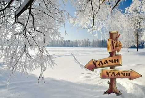 26 января год какого