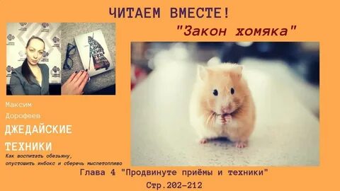 Читающий хомяк