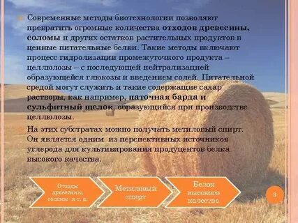 Методы биотехнологии