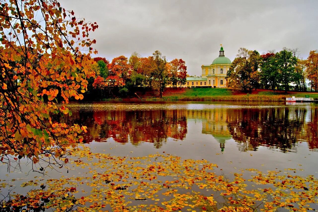 осенний великий новгород. новгородская осень. осень старая русса парк. золотая осень воронежская область. нижний новгород осень.