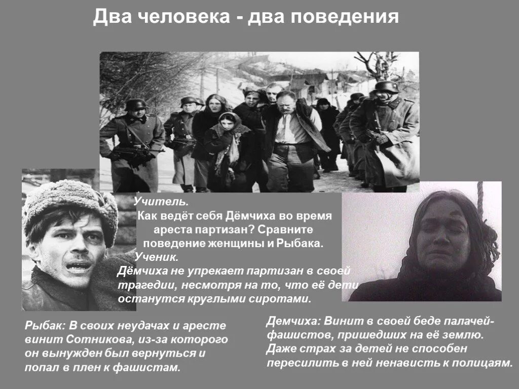 Поведение человека на войне