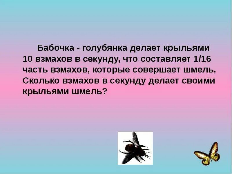 Частота взмаха крыльев шмеля. Количество взмахов бабочки. Сколько взмахов делает бабочка в секунду. Рассказ о бабочке голубянке. Количество взмахов крыльев.