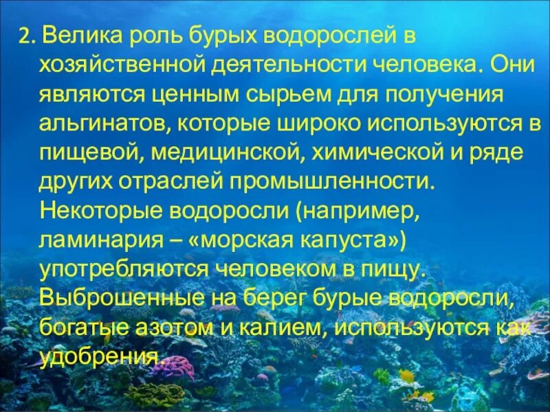 Каково значение бурых водорослей в жизни