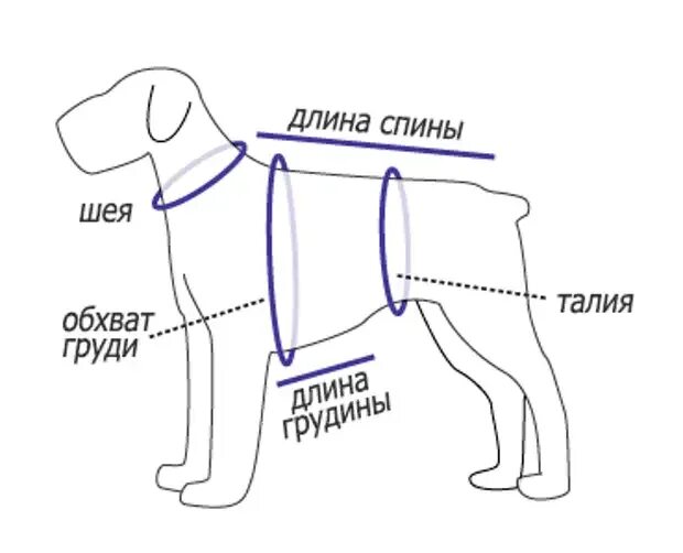 Как снять выкройку для собаки. Мерки собаки для комбинезона. схема собаки для снятия мерок. снятие мерок с собаки. как снять мерки с собаки для одежды.