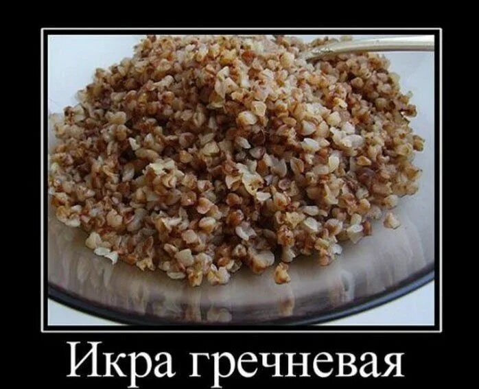Шутки про гречку. Тони монтана с гречкой. Гречка демотиватор. Шутки про гречку. Шутки про гречку.