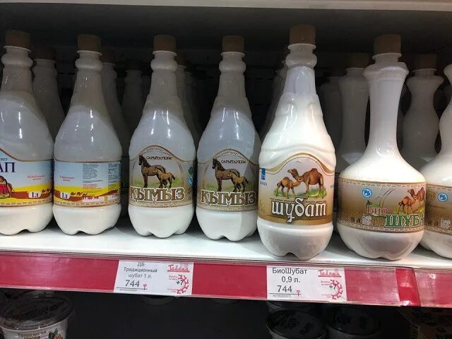 Кумыс кымыз. Кумыс напиток. Жирное грудное молоко. Кумыс простокваша айран. Кумыс татарстан.