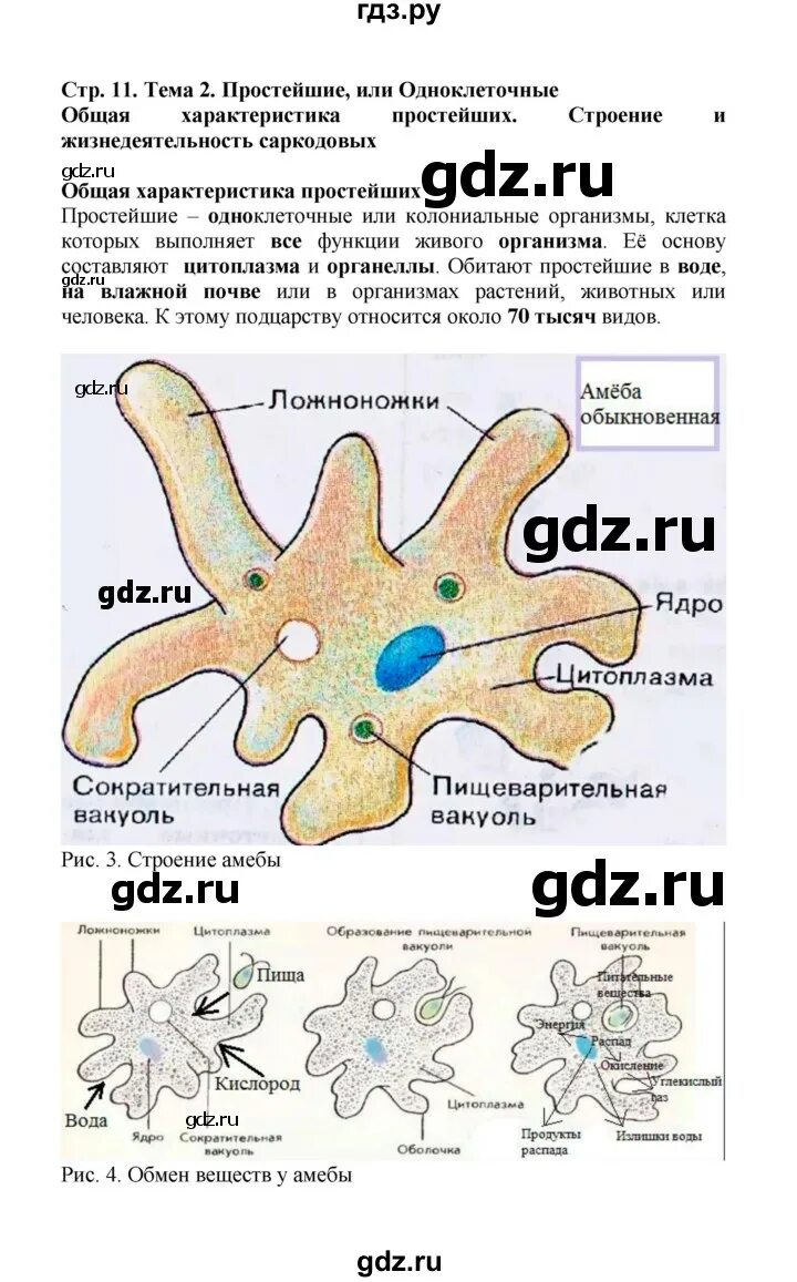 Цифровое домашнее задание по биологии