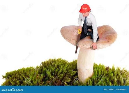 Режут стоя