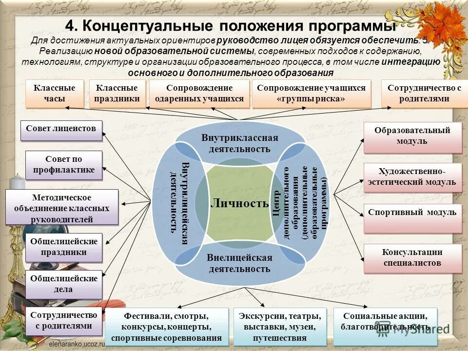 Положение о программе развития