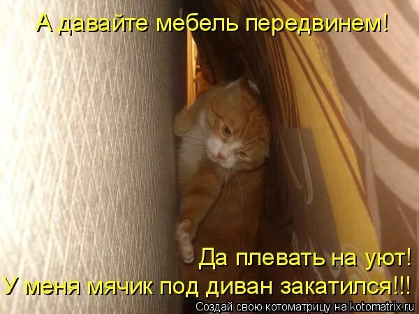 смешная собака на диване. котенок под столом. стребелева формирование мышления у детей с отклонениями в развитии. скучаю по дому. диван для собаки.