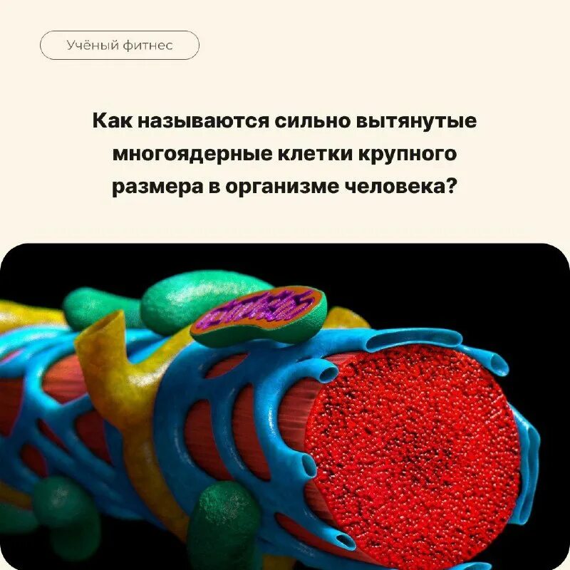 Как называется сильно. Как называется сильно