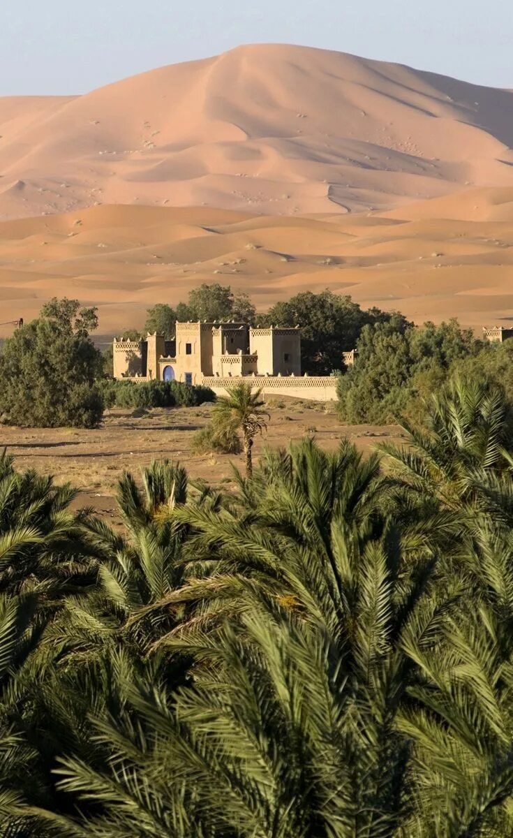 Земля арабам. Агафай Марокко. Оазис в Аравийской пустыне. Марокко Оазис. Пустыня Агафай Марокко.