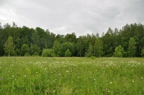 Поселение вороново