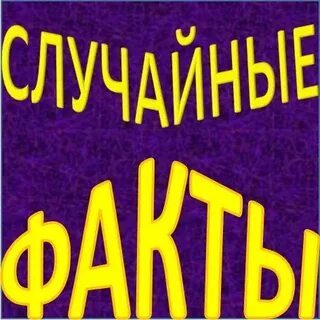 Рандомные факты