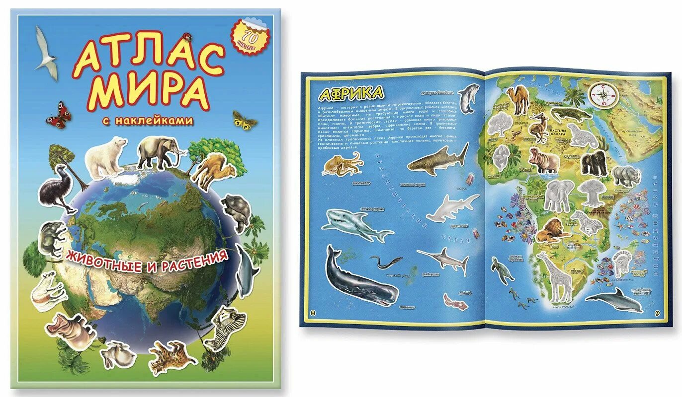 Атлас рисунок