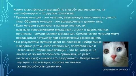 Мутация сообщение